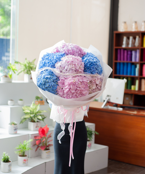 Bó hoa cẩm tú cầu xanh hồng pastel gallery
