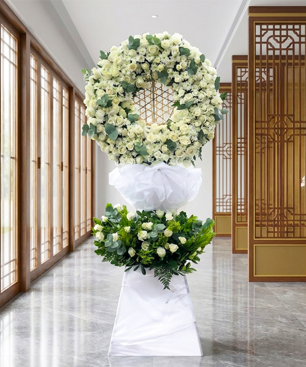 Lãng hoa tiếc thương hồng cúc trắng gallery