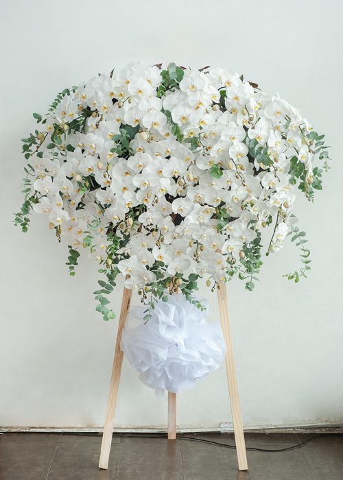 Kệ hoa lan hồ điệp trắng cao cấp gallery