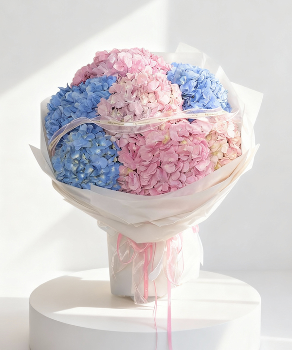 Bó hoa cẩm tú cầu xanh hồng pastel